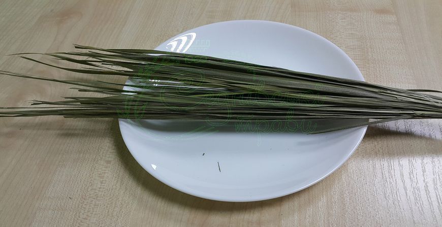 Зубровка 1кг 1357736830 фото